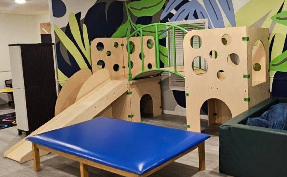 Therapy Gyms