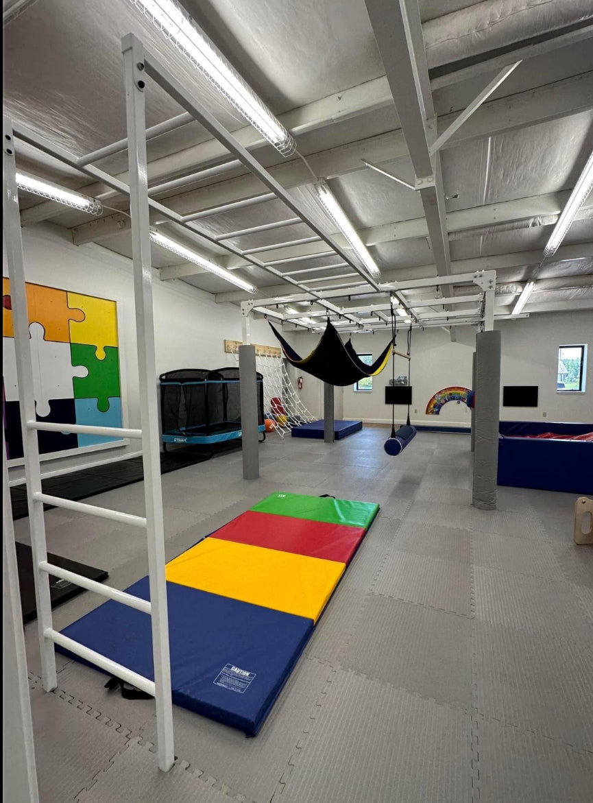 Metal Monkey Bars/Ladder